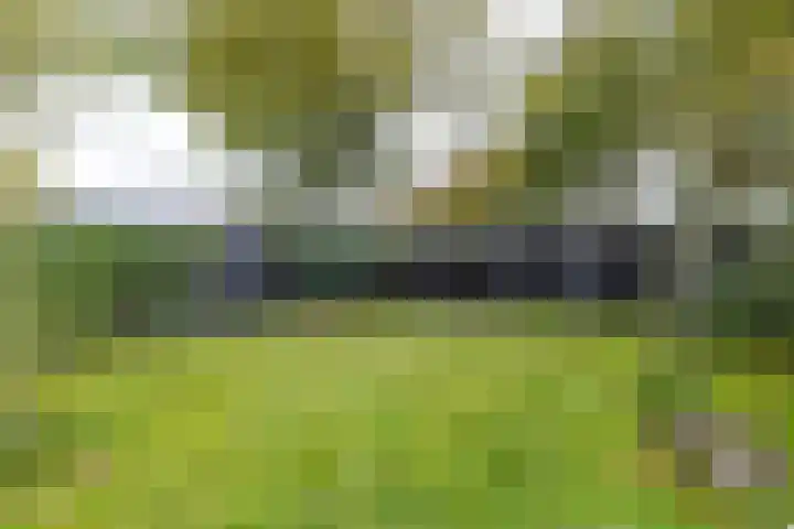 Waardeellaan 31 Gieten thumbnail 75