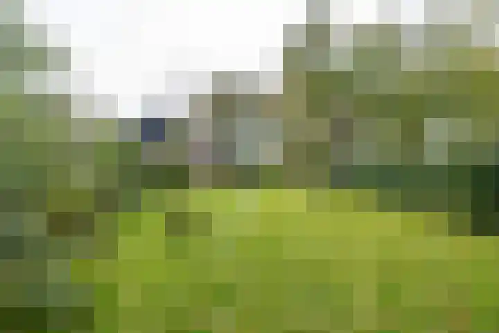 Waardeellaan 31 Gieten thumbnail 76