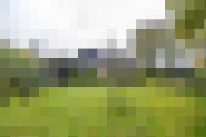 Waardeellaan 31 Gieten thumbnail 77