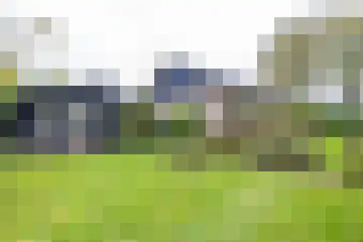 Waardeellaan 31 Gieten thumbnail 78