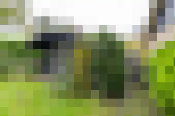 Waardeellaan 31 Gieten thumbnail 79