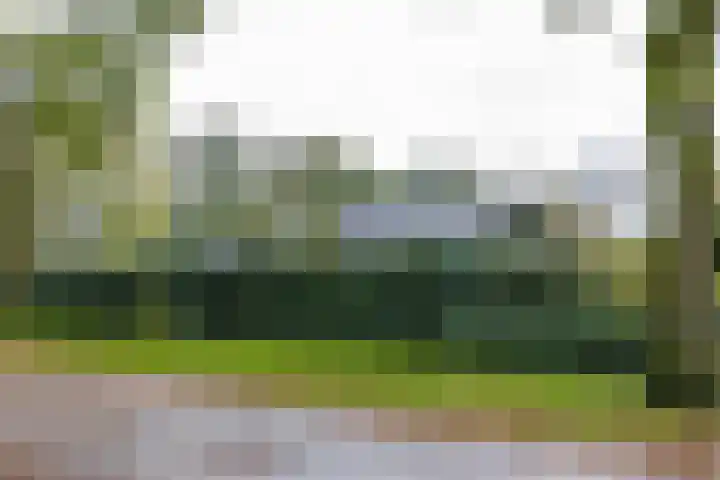 Waardeellaan 31 Gieten thumbnail 8