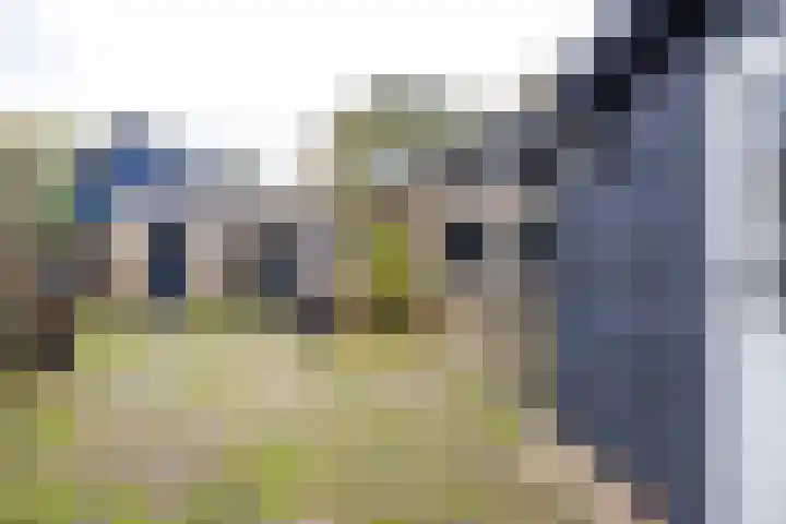 Waardeellaan 31 Gieten thumbnail 81