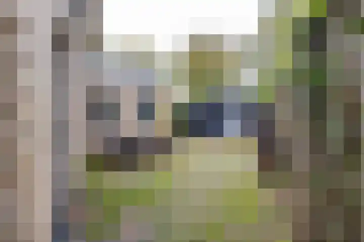 Waardeellaan 31 Gieten thumbnail 84