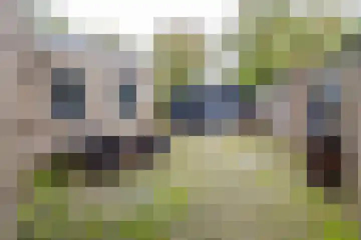 Waardeellaan 31 Gieten thumbnail 85