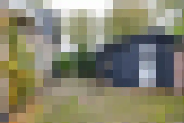 Waardeellaan 31 Gieten thumbnail 86