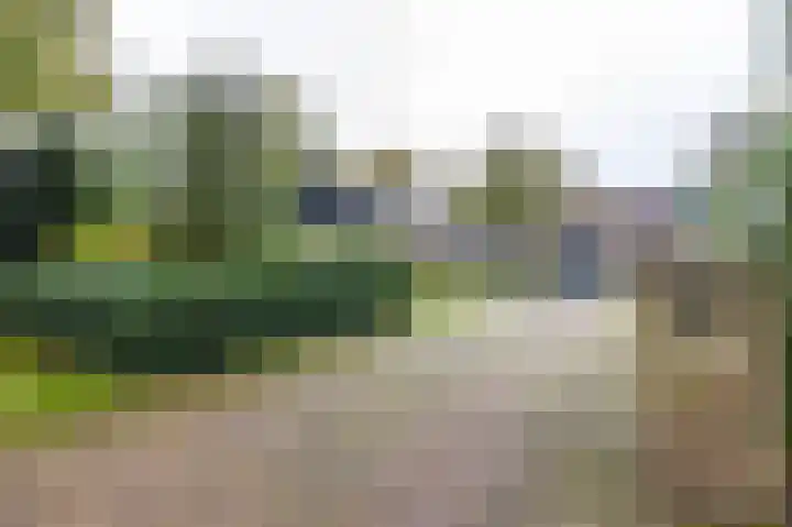 Waardeellaan 31 Gieten thumbnail 9