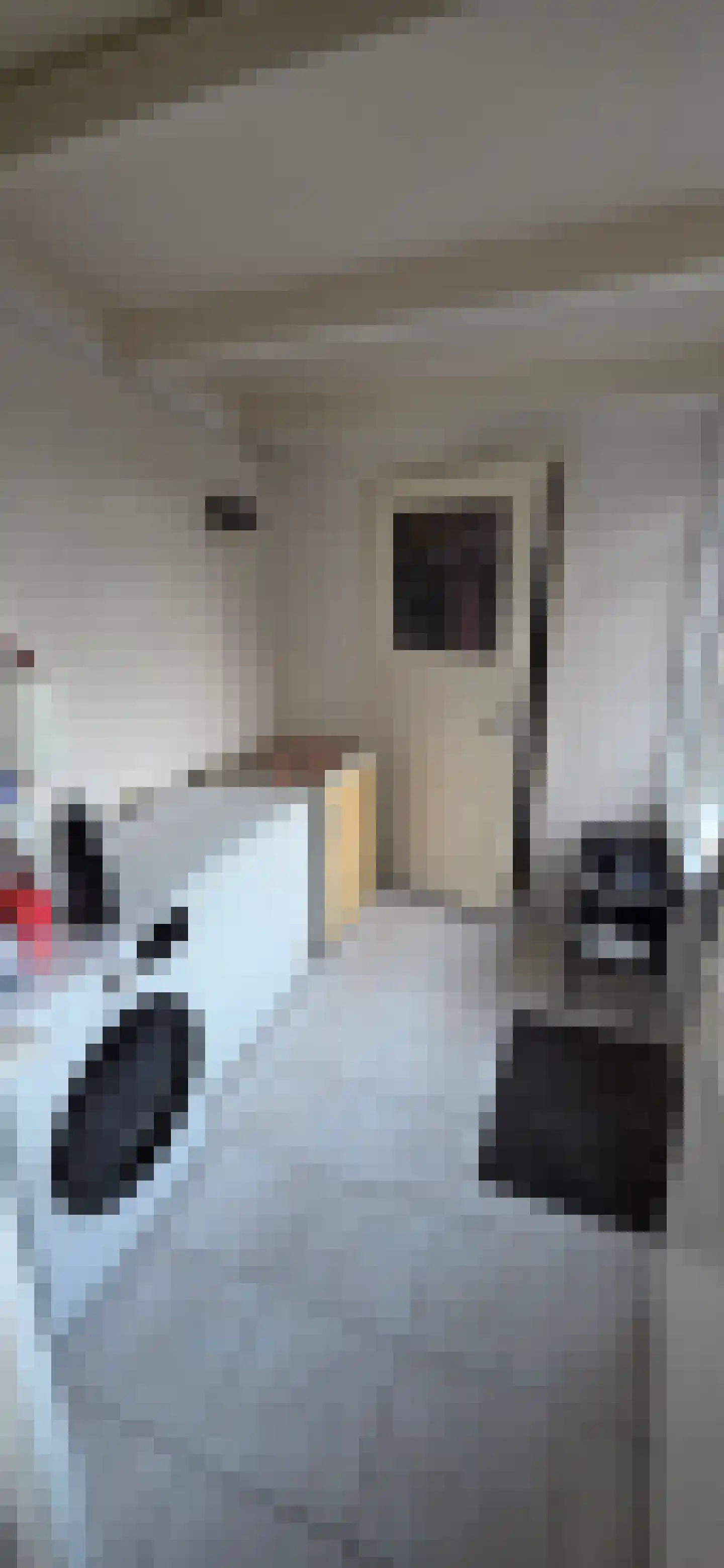 Waardekensstraat 11 Kapelle thumbnail 10