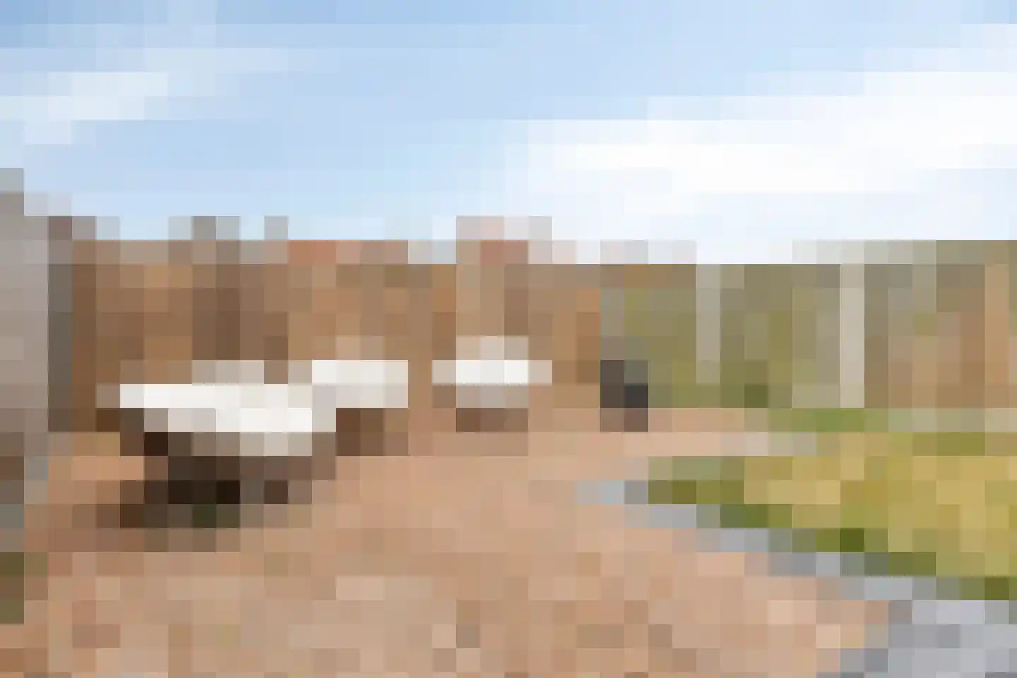 Waardekensstraat 11 Kapelle thumbnail 22