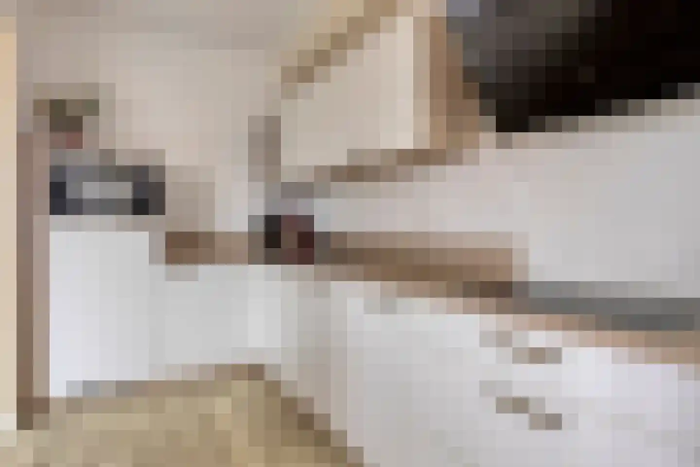 Waardekensstraat 11 Kapelle thumbnail 8