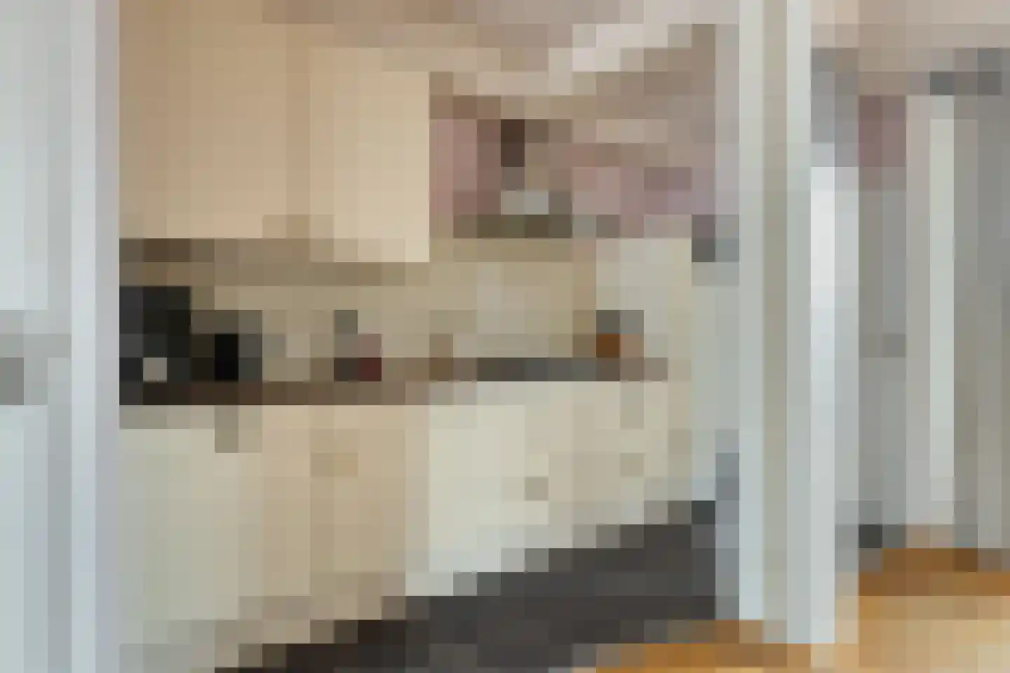 Waardekensstraat 27 Kapelle thumbnail 11