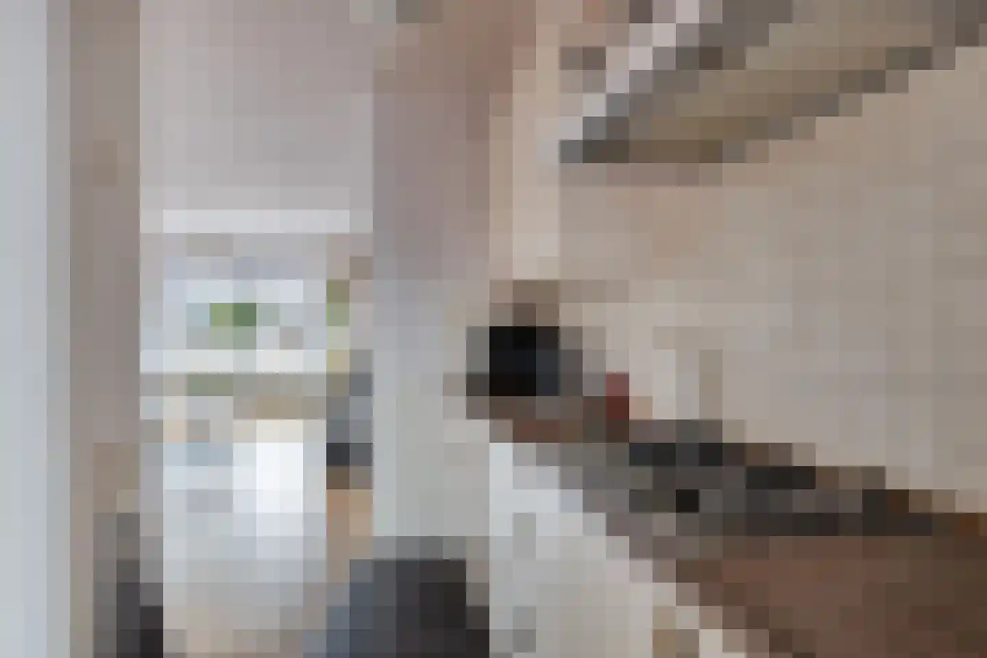 Waardekensstraat 27 Kapelle thumbnail 12