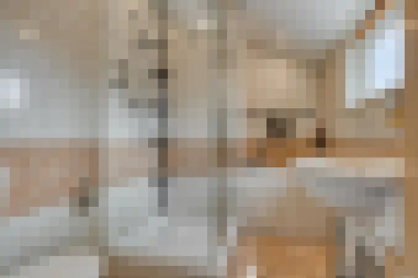 Waardekensstraat 27 Kapelle thumbnail 14