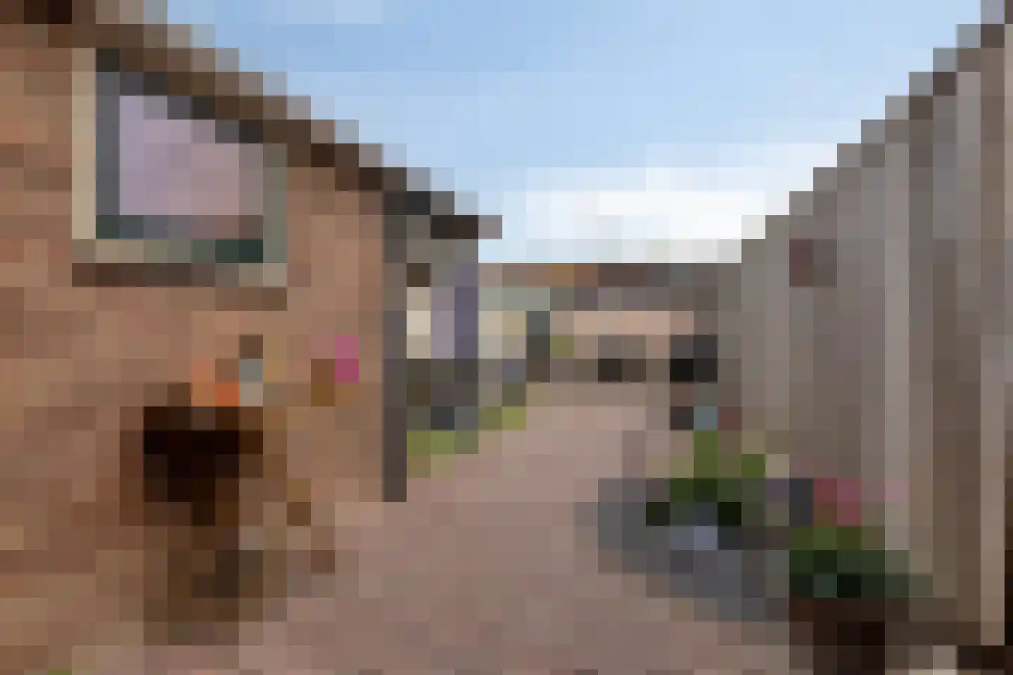 Waardekensstraat 27 Kapelle thumbnail 30
