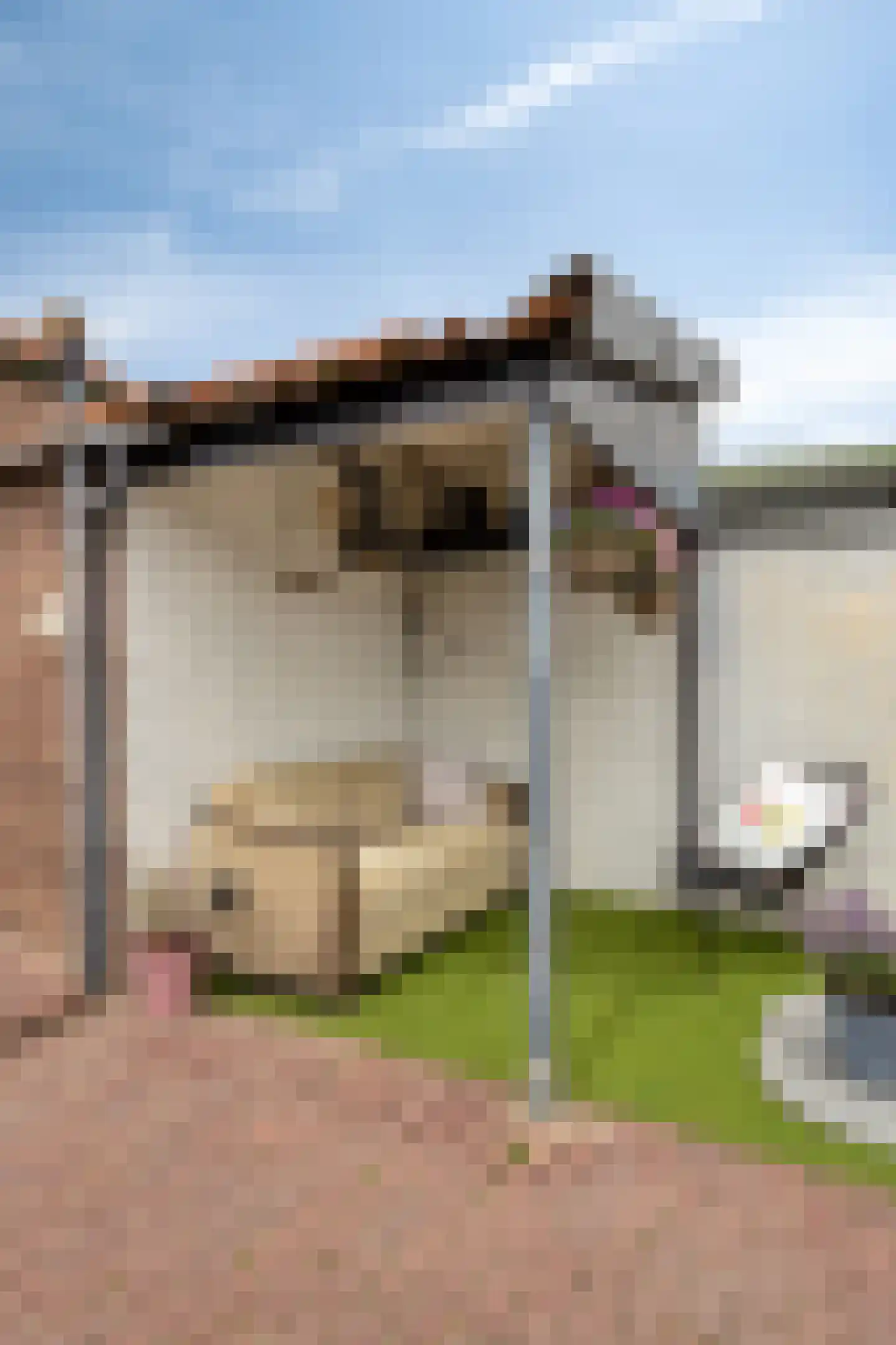 Waardekensstraat 27 Kapelle thumbnail 32