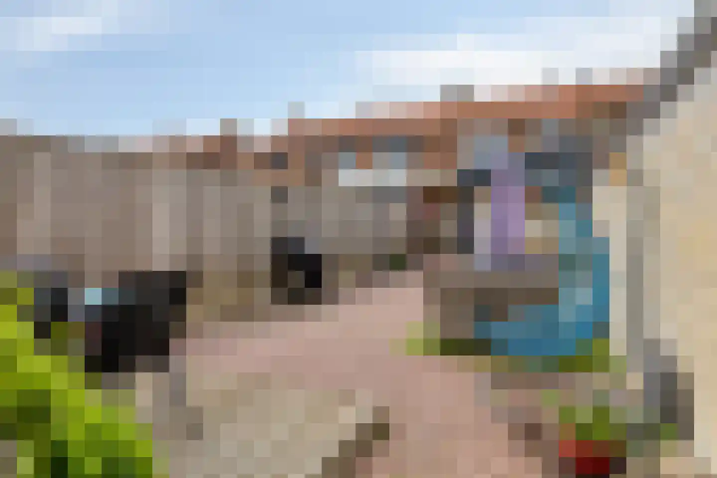 Waardekensstraat 27 Kapelle thumbnail 36