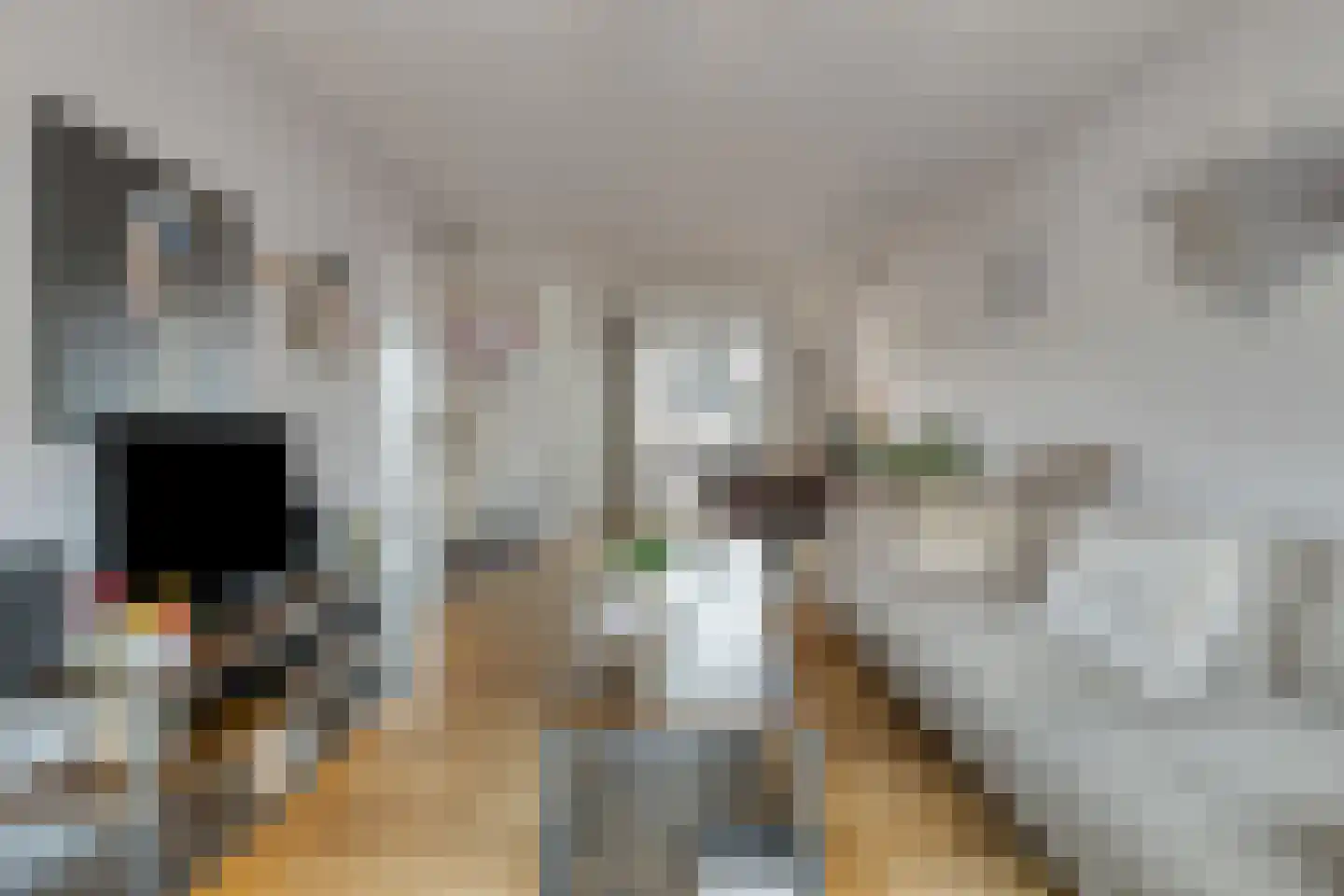 Waardekensstraat 27 Kapelle thumbnail 7