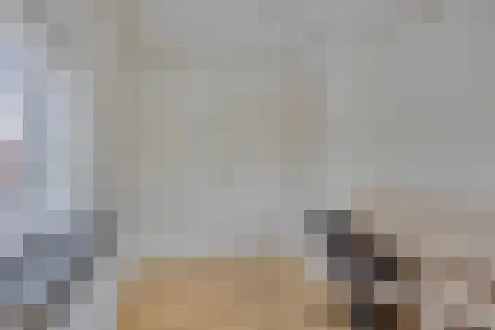Waardekensstraat 30 Kapelle thumbnail 12