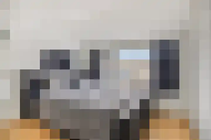 Waardekensstraat 30 Kapelle thumbnail 17
