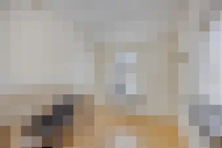Waardekensstraat 30 Kapelle thumbnail 19