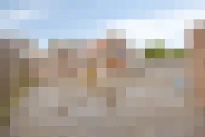 Waardekensstraat 30 Kapelle thumbnail 22