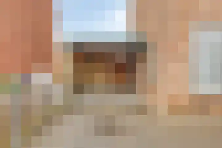 Waardekensstraat 30 Kapelle thumbnail 28