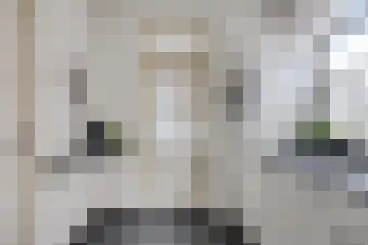 Waardekensstraat 30 Kapelle thumbnail 9