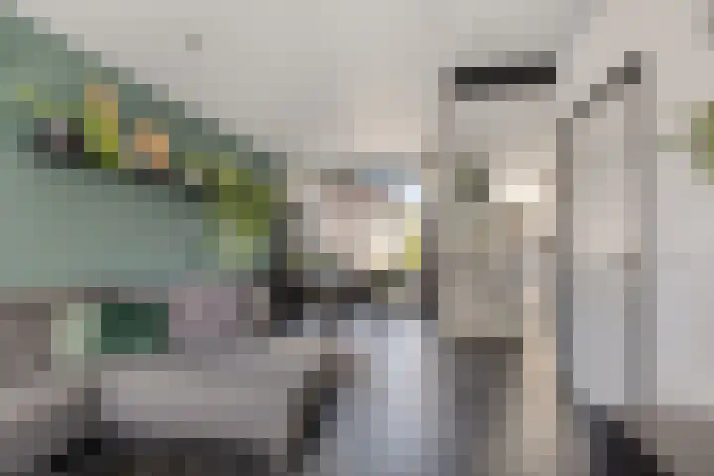 Waardekensstraat 9 Kapelle thumbnail 14