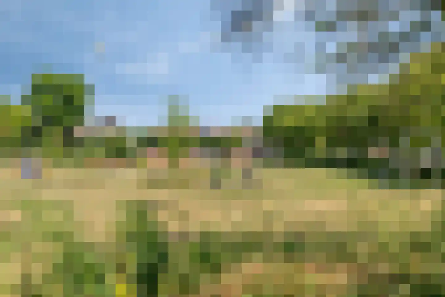 Waardekensstraat 9 Kapelle thumbnail 45