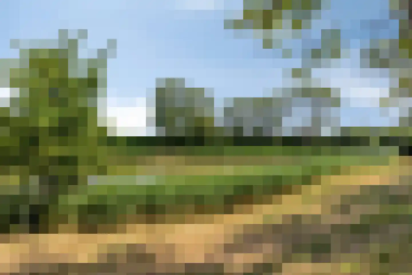 Waardekensstraat 9 Kapelle thumbnail 47