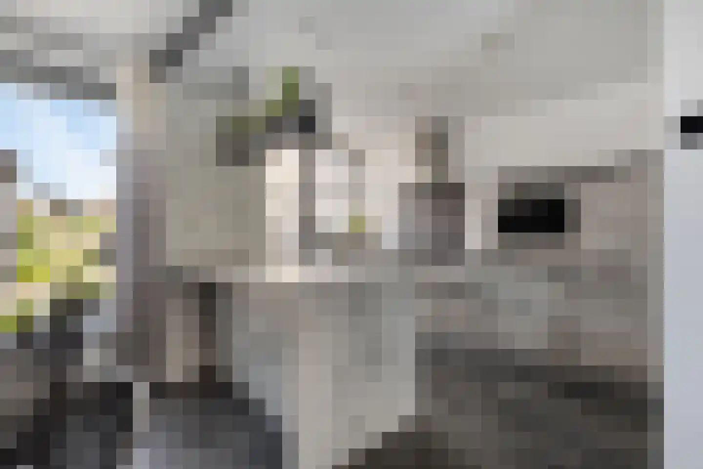 Waardekensstraat 9 Kapelle thumbnail 8