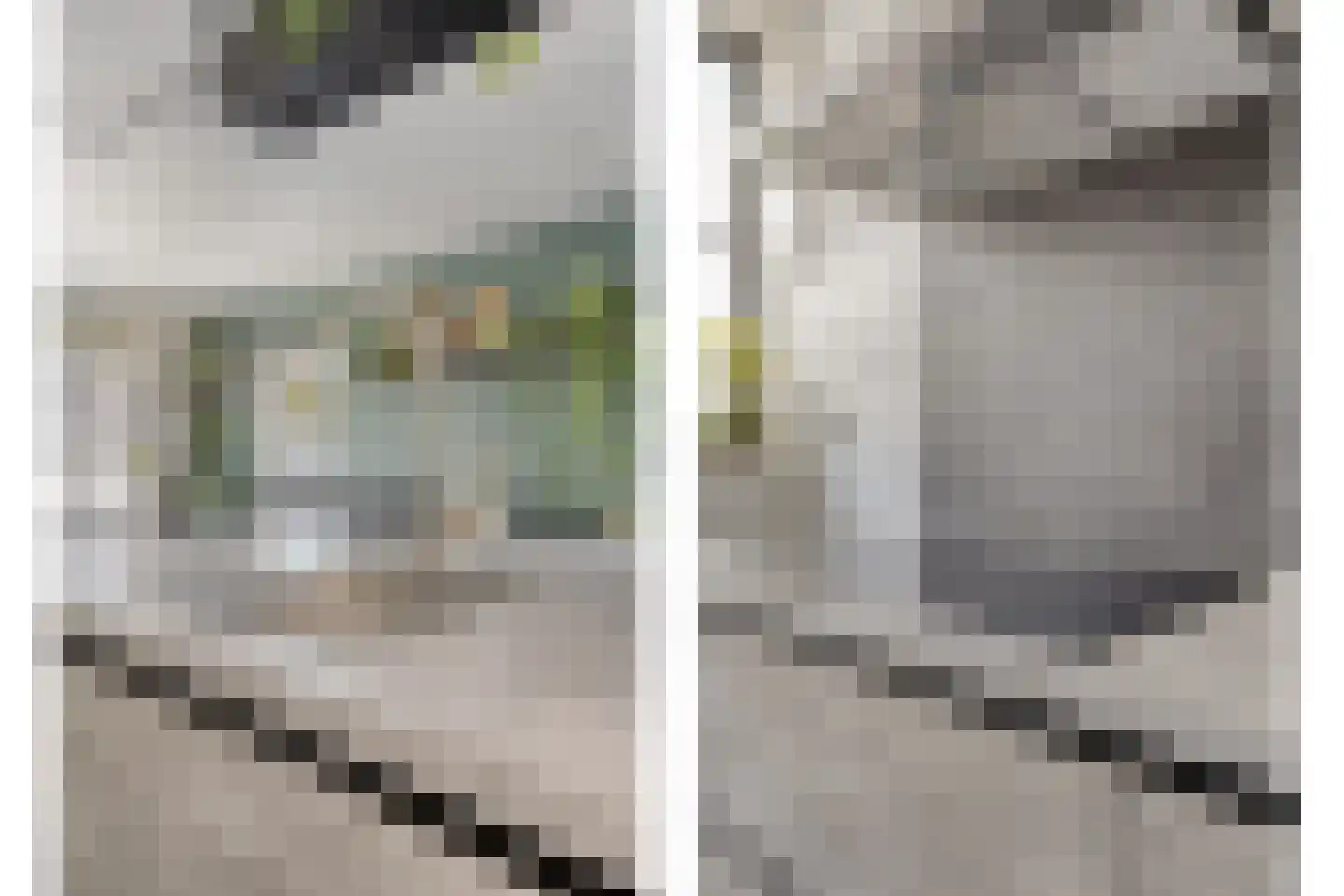 Waardekensstraat 9 Kapelle thumbnail 9