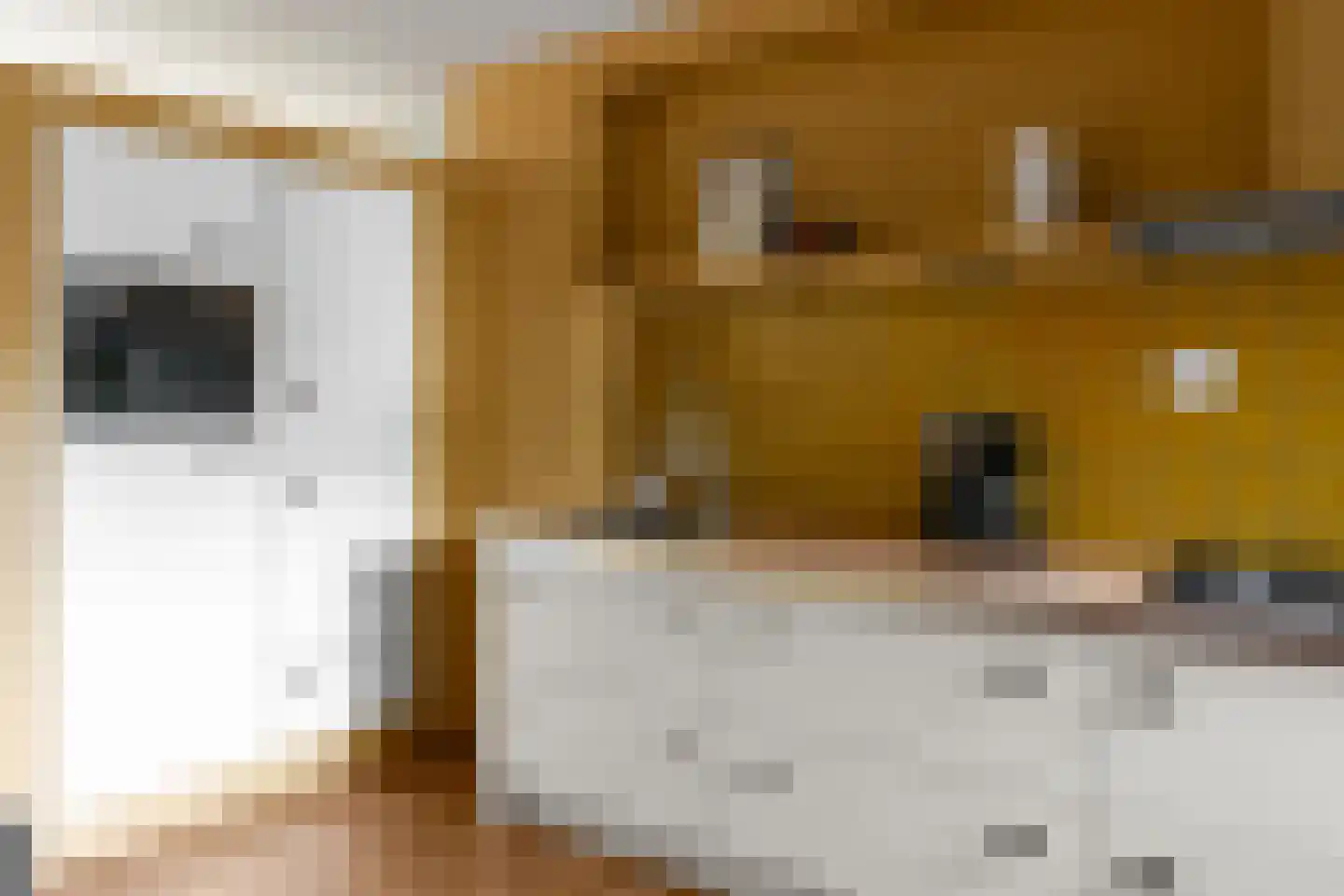 Waarden 13 Leusden thumbnail 12
