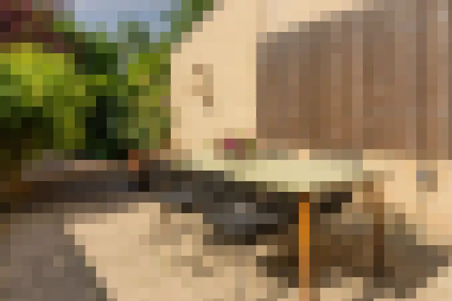 Waarden 13 Leusden thumbnail 18