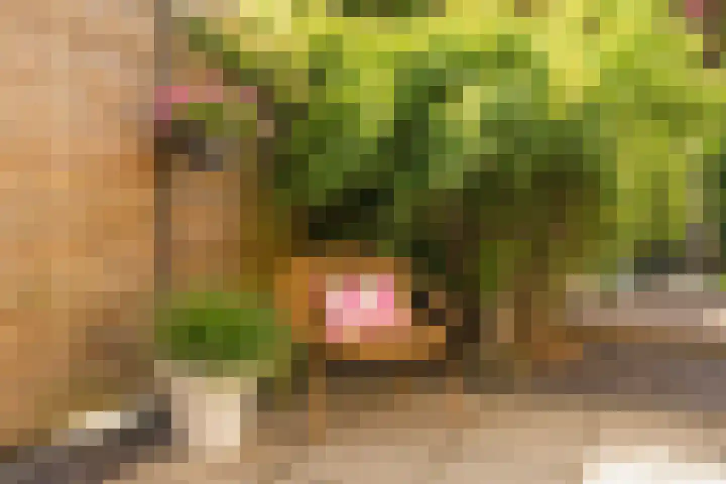 Waarden 13 Leusden thumbnail 19