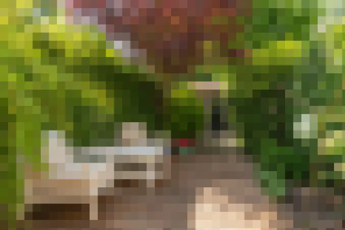 Waarden 13 Leusden thumbnail 20
