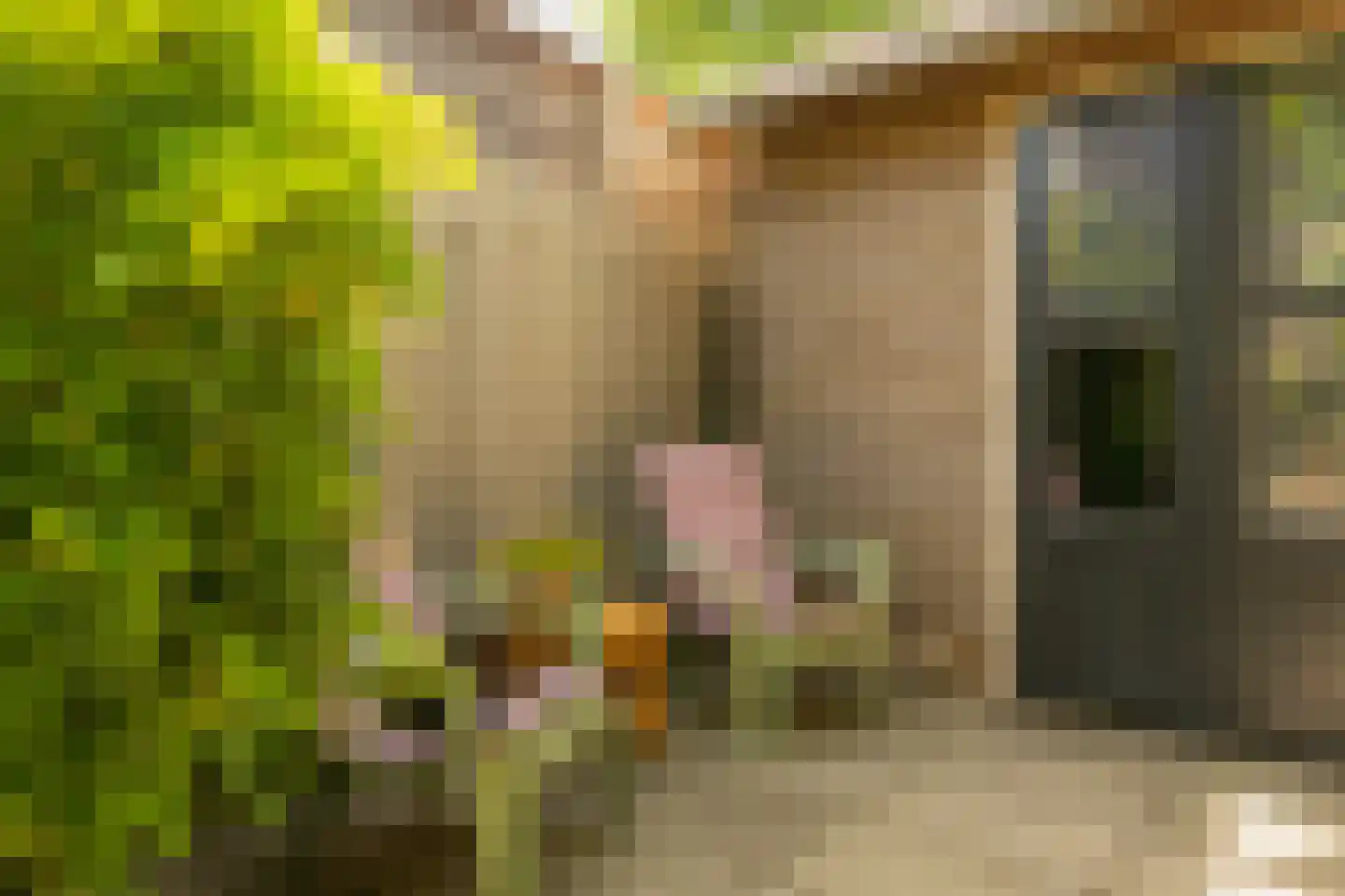 Waarden 13 Leusden thumbnail 21