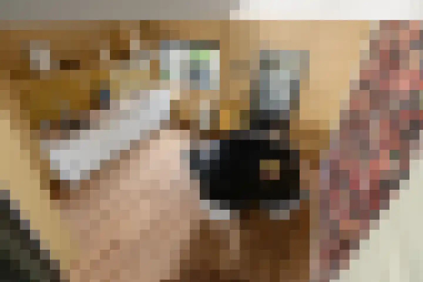 Waarden 13 Leusden thumbnail 28