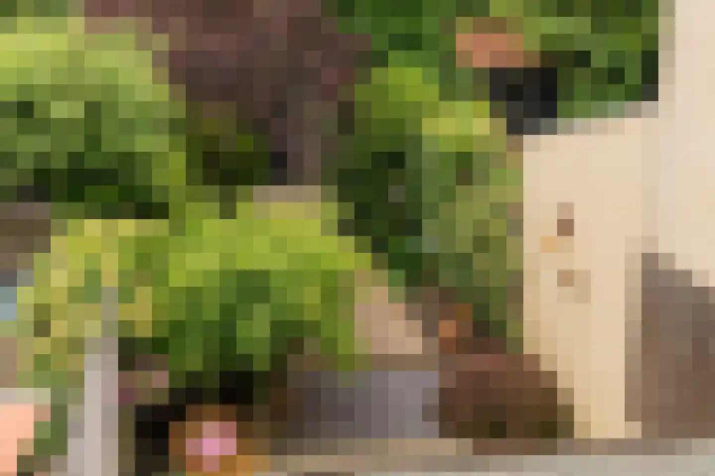 Waarden 13 Leusden thumbnail 36