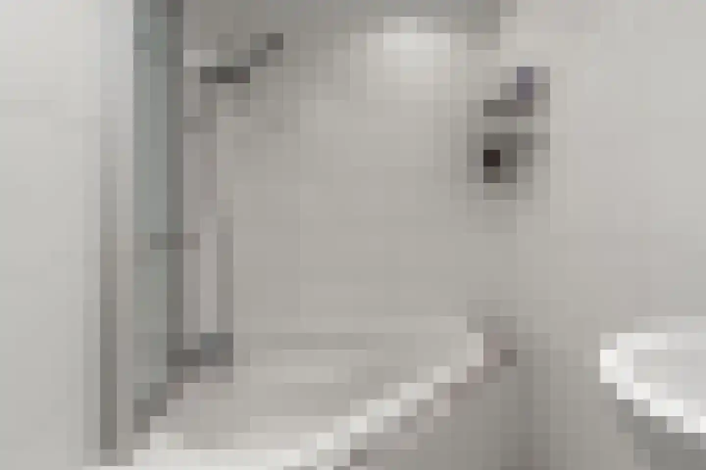 Waarden 13 Leusden thumbnail 38