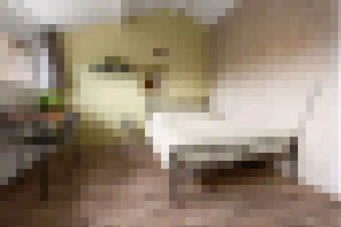 Waarden 13 Leusden thumbnail 42