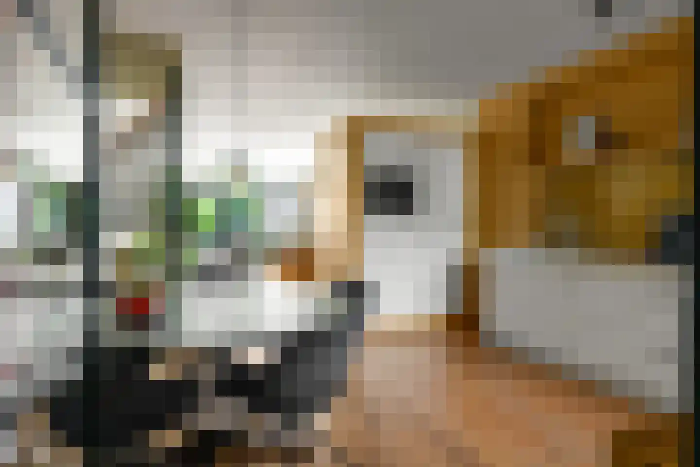 Waarden 13 Leusden thumbnail 5
