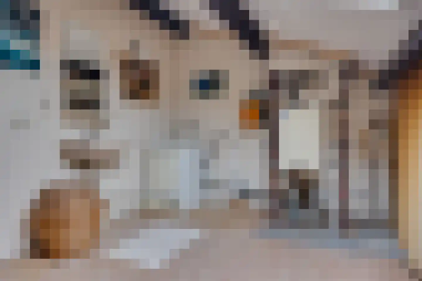 Waarden 47 Leusden thumbnail 26
