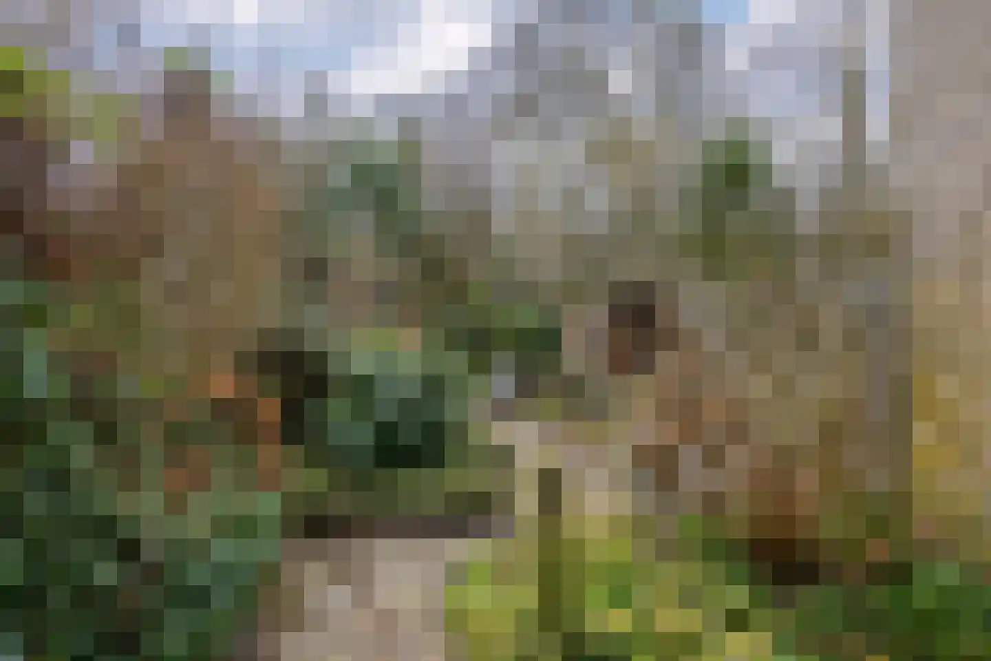 Waarden 47 Leusden thumbnail 29
