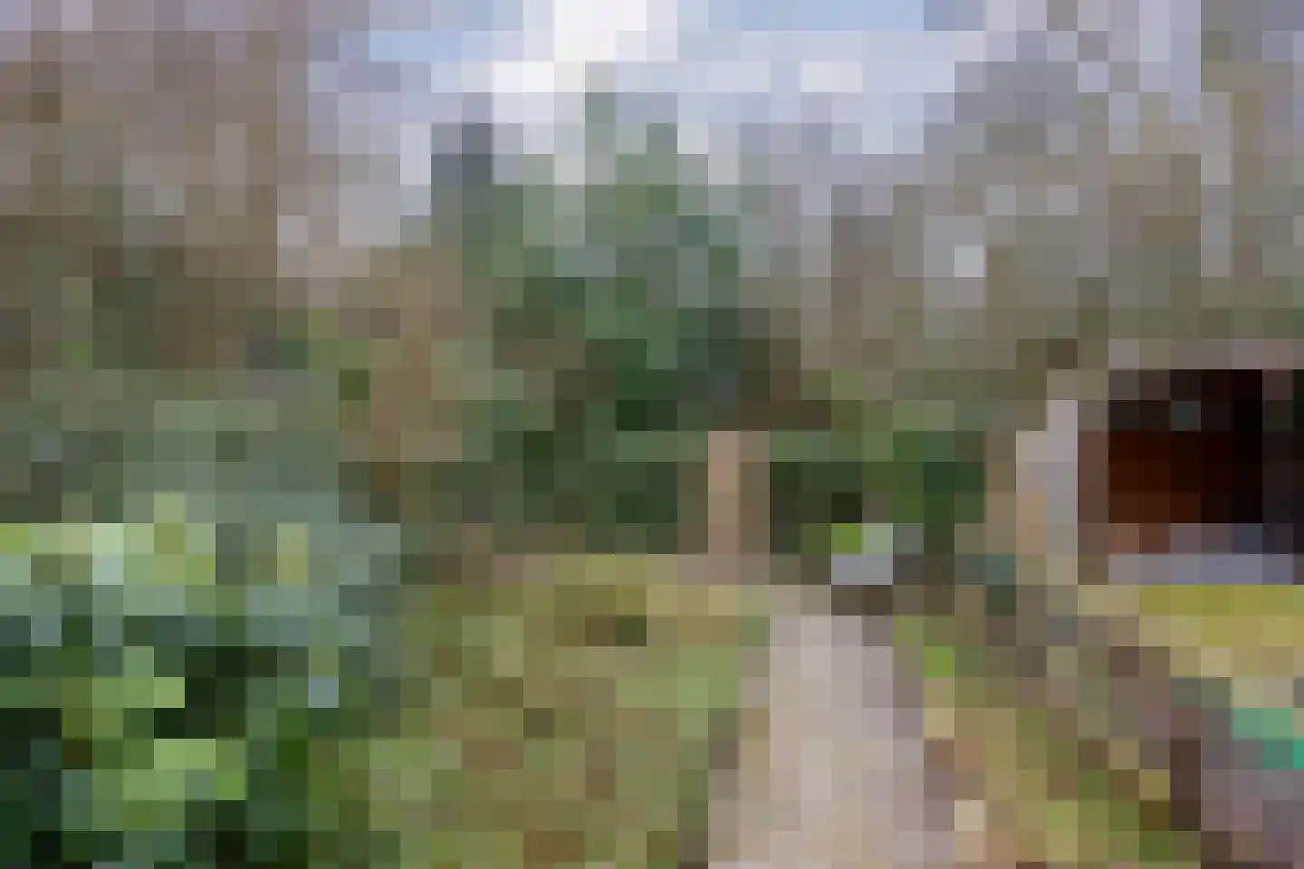Waarden 47 Leusden thumbnail 30