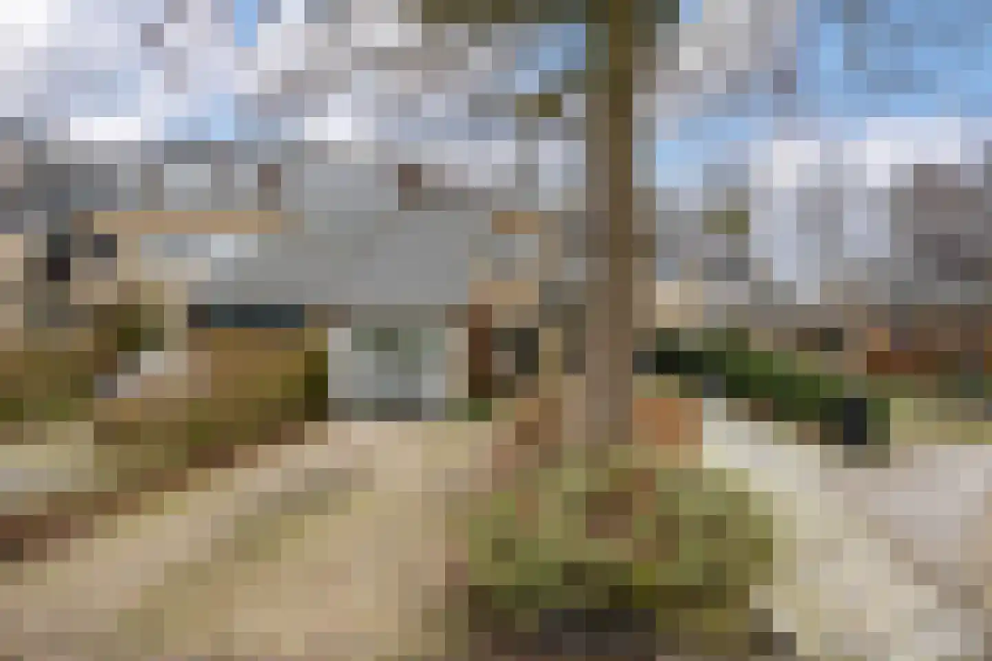 Waarden 47 Leusden thumbnail 33