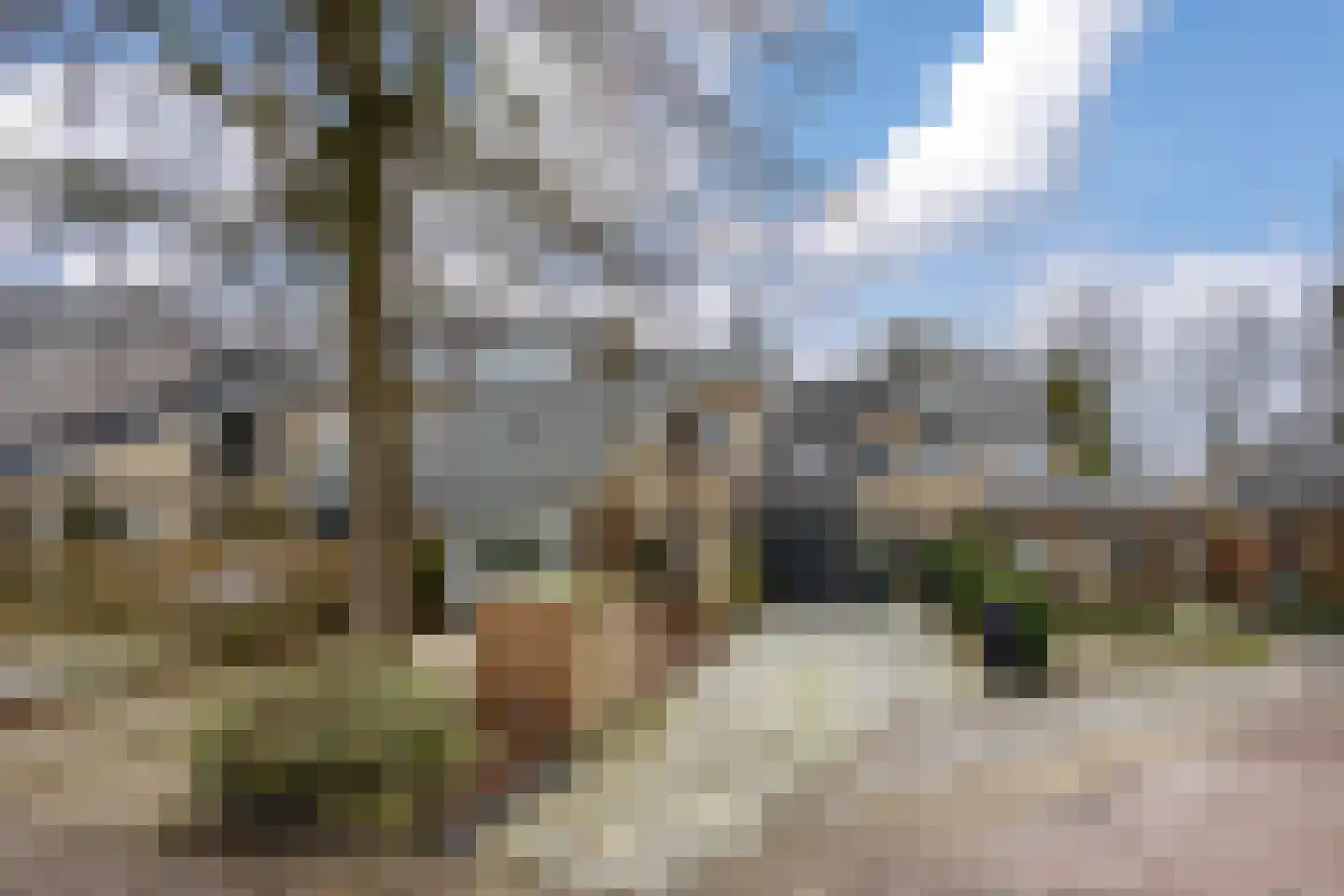 Waarden 47 Leusden thumbnail 36