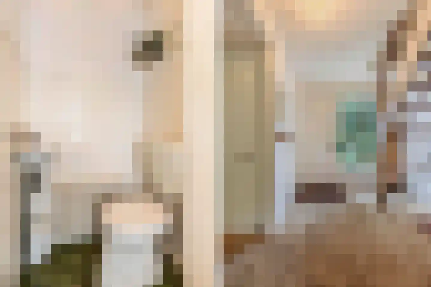 Waarden 9 Emmeloord thumbnail 17