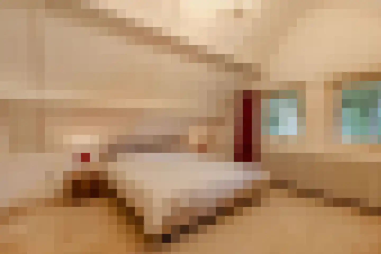 Waarden 9 Emmeloord thumbnail 18