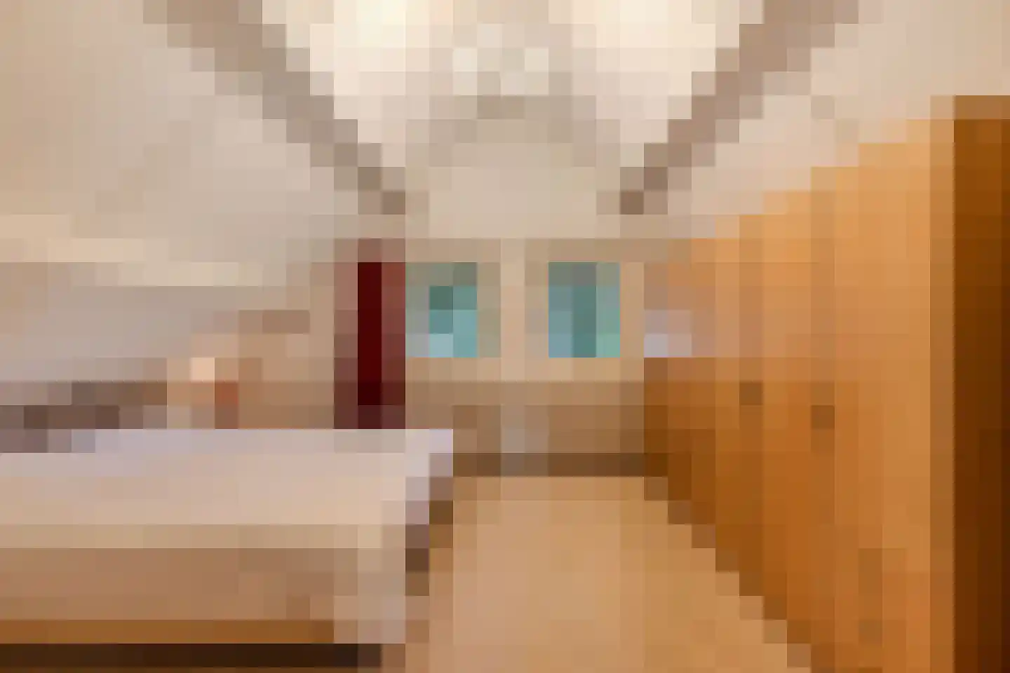 Waarden 9 Emmeloord thumbnail 19